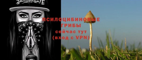 молекула духа Армянск