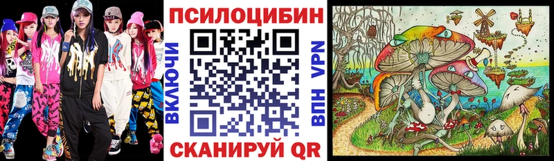 купить  сайты  Черноголовка  Псилоцибиновые грибы Magic Shrooms 